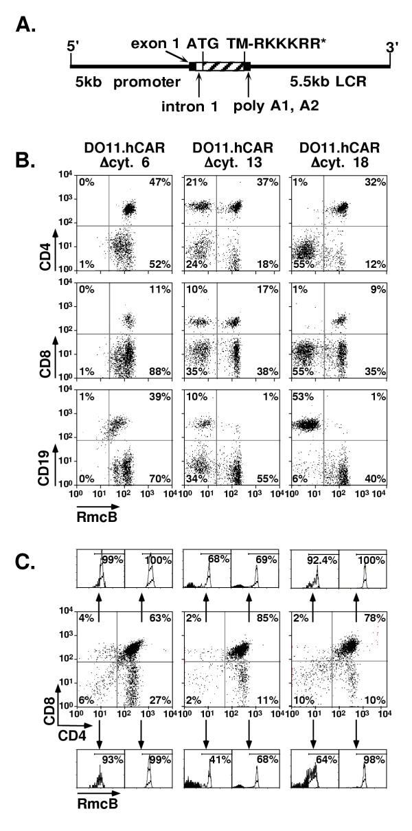 https://cdn.ncbi.nlm.nih.gov/pmc/blobs/1701/113271/17f038426e35/1471-2172-3-4-1.jpg