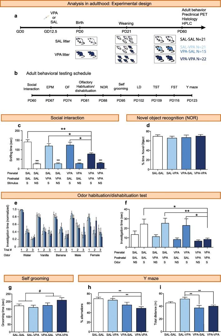 https://cdn.ncbi.nlm.nih.gov/pmc/blobs/1708/6001054/d7400968b17d/13229_2018_221_Fig2_HTML.jpg