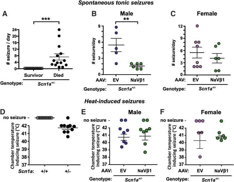https://cdn.ncbi.nlm.nih.gov/pmc/blobs/1720/7087406/64bb0c4e9af2/hum.2019.225_figure4.jpg