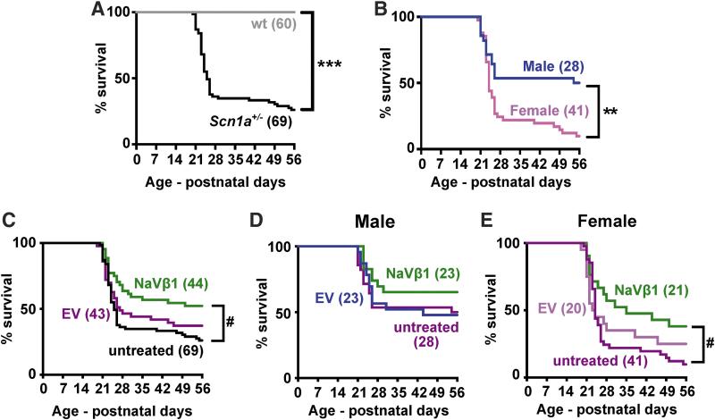 https://cdn.ncbi.nlm.nih.gov/pmc/blobs/1720/7087406/669dc5bc1b95/hum.2019.225_figure3.jpg