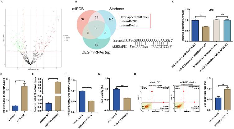 https://cdn.ncbi.nlm.nih.gov/pmc/blobs/1734/12282545/bd8e2badd0b2/COPD-20-2525-g0004.jpg