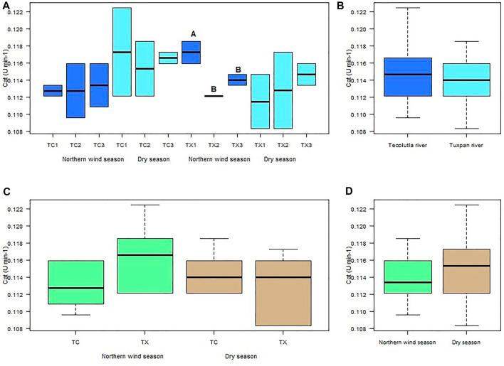 https://cdn.ncbi.nlm.nih.gov/pmc/blobs/1736/9477652/bd799a010ee9/fphys-13-932537-g003.jpg