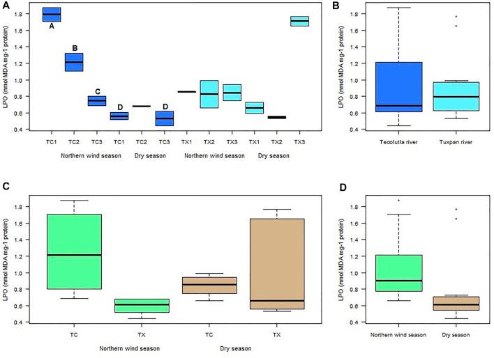 https://cdn.ncbi.nlm.nih.gov/pmc/blobs/1736/9477652/c18bb60dffc6/fphys-13-932537-g005.jpg