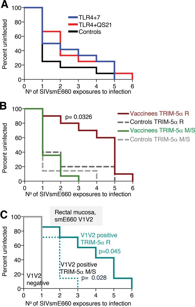 https://cdn.ncbi.nlm.nih.gov/pmc/blobs/1747/6052320/9823ba9b6c1d/zjv0151837360003.jpg