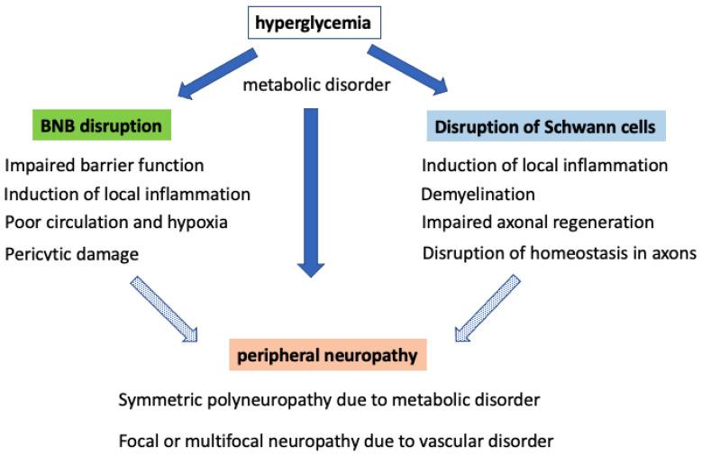https://cdn.ncbi.nlm.nih.gov/pmc/blobs/174d/7793499/26a4fb5697d5/ijms-22-00062-g007.jpg