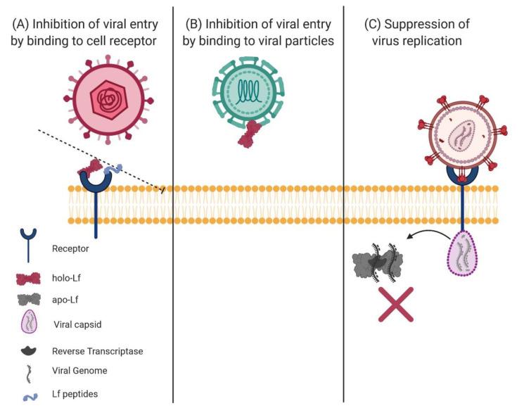 https://cdn.ncbi.nlm.nih.gov/pmc/blobs/175f/7762604/9fb0d8db8bf8/molecules-25-05763-g005.jpg