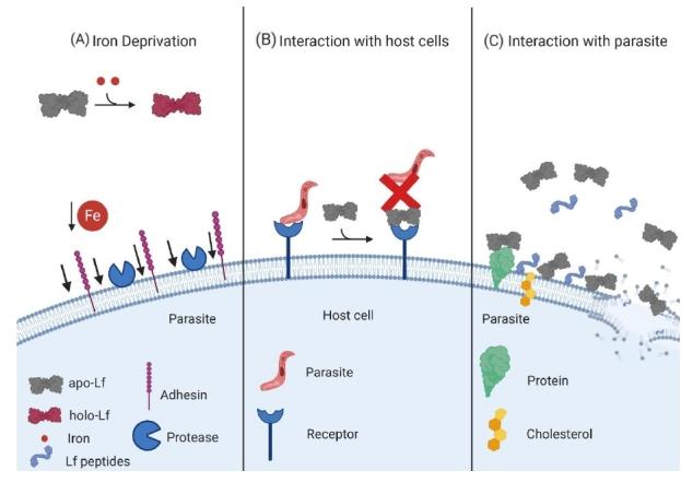 https://cdn.ncbi.nlm.nih.gov/pmc/blobs/175f/7762604/ced7279998a3/molecules-25-05763-g003.jpg