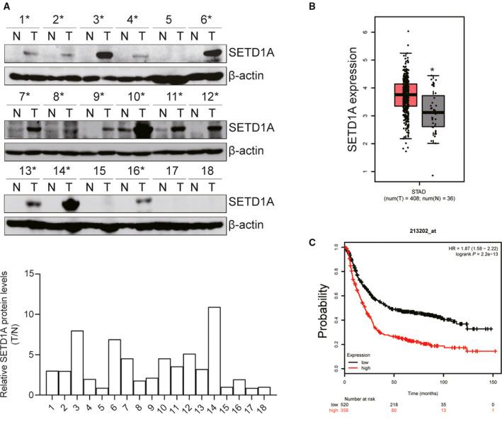 https://cdn.ncbi.nlm.nih.gov/pmc/blobs/1766/7266269/9ea4a073294a/MOL2-14-1397-g001.jpg
