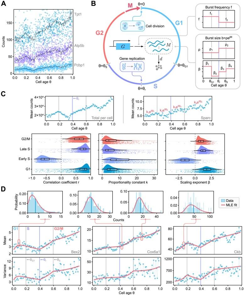 https://cdn.ncbi.nlm.nih.gov/pmc/blobs/176a/12000877/f9687a7bda9e/gkaf295fig3.jpg
