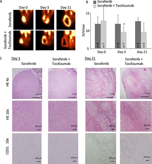 https://cdn.ncbi.nlm.nih.gov/pmc/blobs/17ab/5589655/89c0ff348e6d/oncotarget-08-55230-g007.jpg