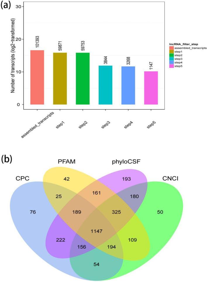 https://cdn.ncbi.nlm.nih.gov/pmc/blobs/17ae/8898480/9ce8ce189b32/12985_2022_1761_Fig1_HTML.jpg