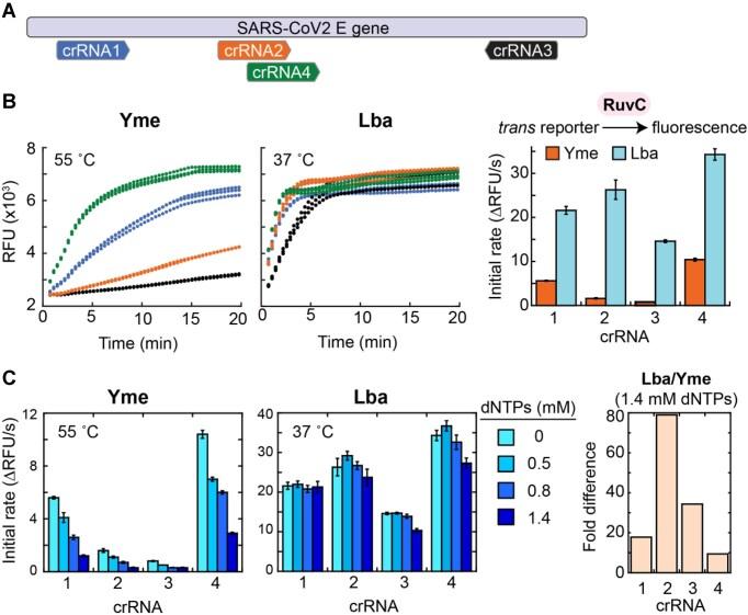 https://cdn.ncbi.nlm.nih.gov/pmc/blobs/17e5/12164587/0008f589e951/gkaf509fig2.jpg