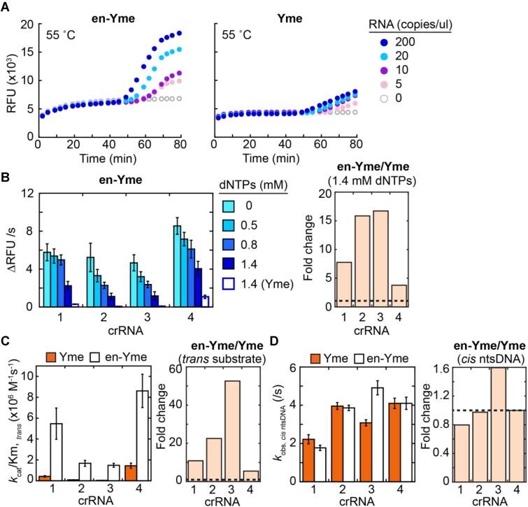 https://cdn.ncbi.nlm.nih.gov/pmc/blobs/17e5/12164587/0b7a308f0f56/gkaf509fig7.jpg