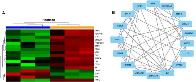 https://cdn.ncbi.nlm.nih.gov/pmc/blobs/180b/8238772/bc6b138939b6/12094_2021_2570_Fig6_HTML.jpg