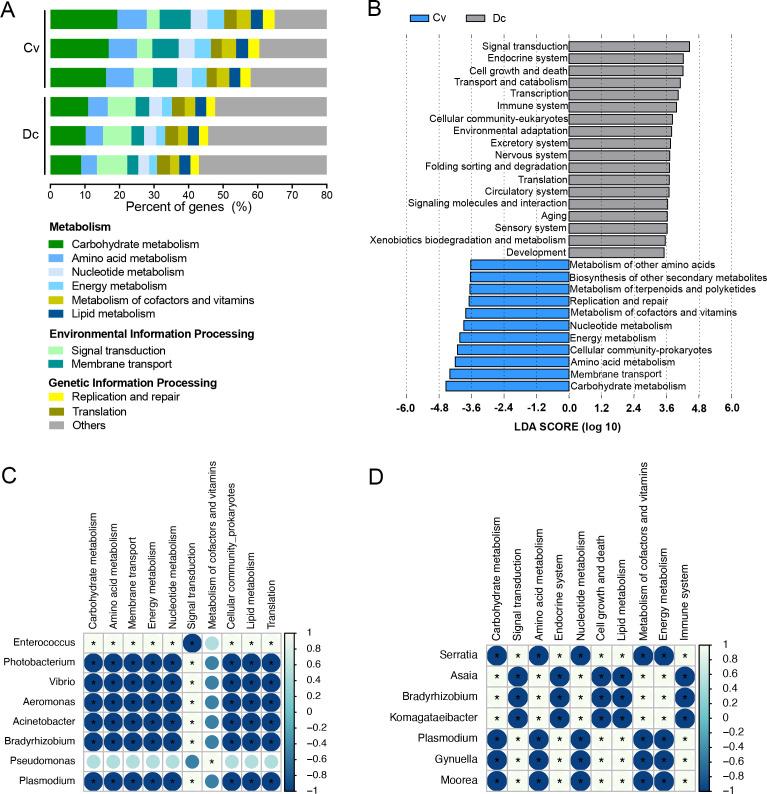 https://cdn.ncbi.nlm.nih.gov/pmc/blobs/1826/11448028/37254fe99a25/spectrum.01208-24.f003.jpg