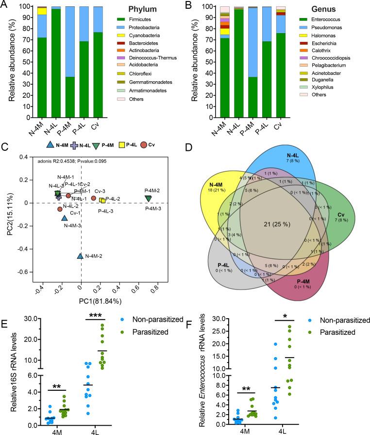 https://cdn.ncbi.nlm.nih.gov/pmc/blobs/1826/11448028/ede0bc53971e/spectrum.01208-24.f005.jpg