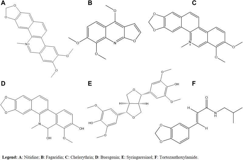 https://cdn.ncbi.nlm.nih.gov/pmc/blobs/1839/9868958/abcad6c60618/fphar-13-873208-g002.jpg