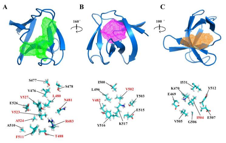 https://cdn.ncbi.nlm.nih.gov/pmc/blobs/1854/8470621/470893aaadab/molecules-26-05716-g003.jpg