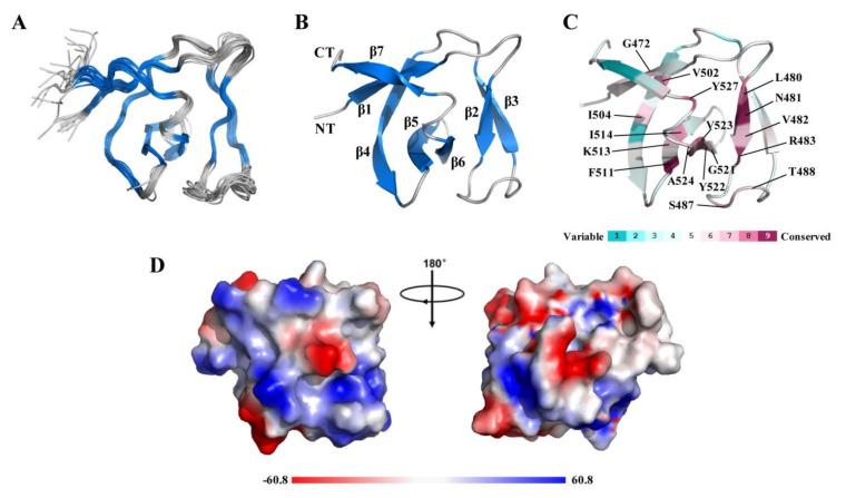 https://cdn.ncbi.nlm.nih.gov/pmc/blobs/1854/8470621/b29ef77d76ba/molecules-26-05716-g002.jpg
