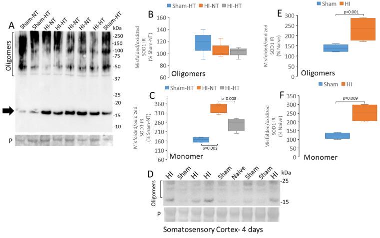 https://cdn.ncbi.nlm.nih.gov/pmc/blobs/1865/12025496/fea4fec9c862/cells-14-00586-g010.jpg
