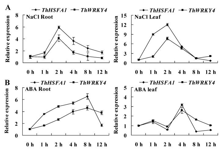 https://cdn.ncbi.nlm.nih.gov/pmc/blobs/1868/8126225/1d60f1b4a511/ijms-22-05048-g002.jpg