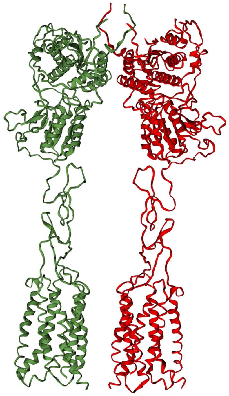 https://cdn.ncbi.nlm.nih.gov/pmc/blobs/1878/11940234/a2beeaee4306/biomolecules-15-00392-g001.jpg
