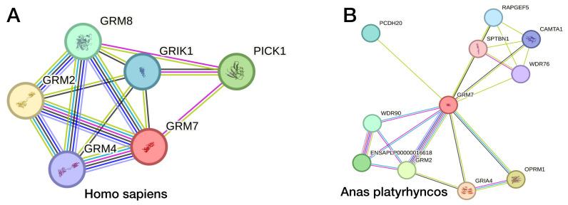 https://cdn.ncbi.nlm.nih.gov/pmc/blobs/1878/11940234/d827f66cdc28/biomolecules-15-00392-g003.jpg