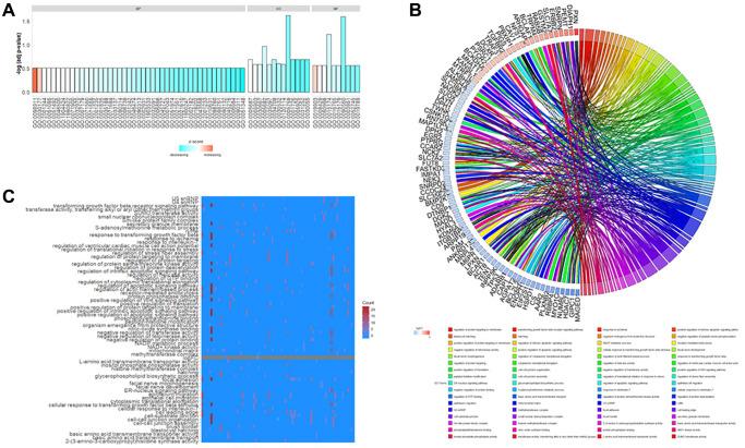 https://cdn.ncbi.nlm.nih.gov/pmc/blobs/1886/10929794/b0de6488ca1c/aging-16-205546-g003.jpg