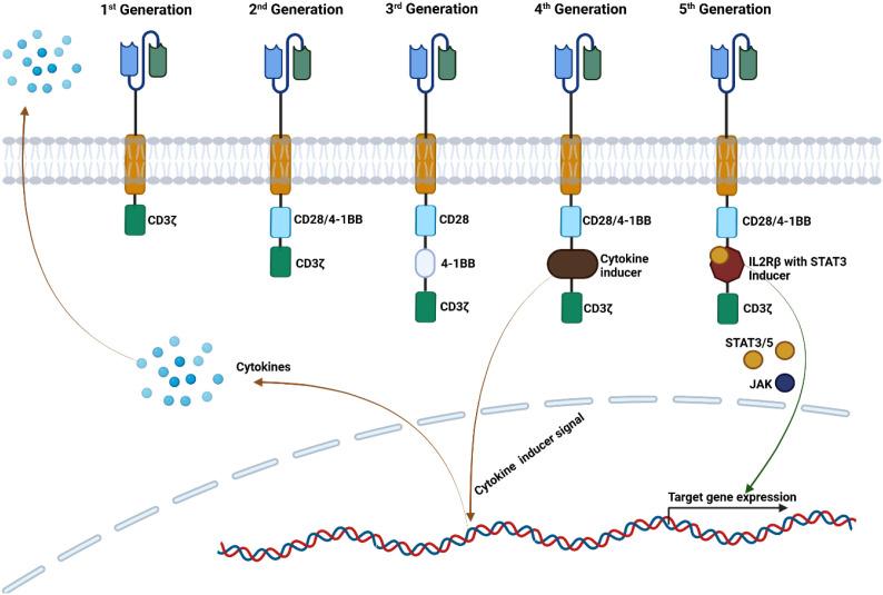 https://cdn.ncbi.nlm.nih.gov/pmc/blobs/18a7/12371366/1b9cb31646ae/fimmu-16-1564998-g001.jpg