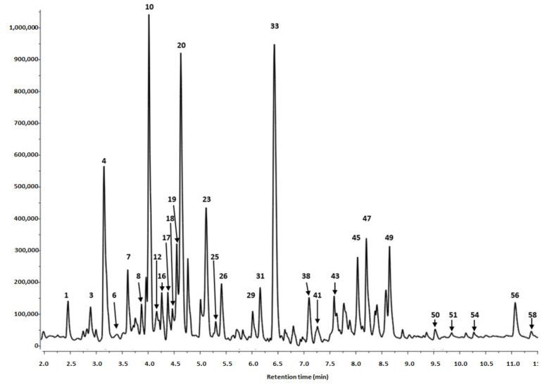 https://cdn.ncbi.nlm.nih.gov/pmc/blobs/18ac/7600001/1b97e9a4d624/biomolecules-10-01391-g002.jpg
