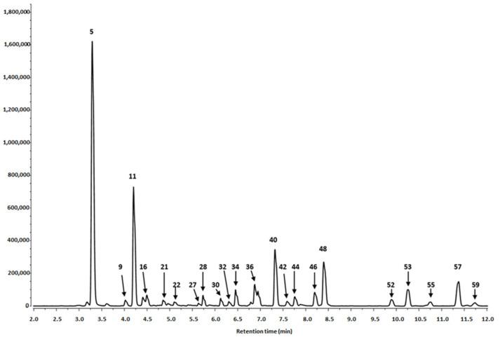 https://cdn.ncbi.nlm.nih.gov/pmc/blobs/18ac/7600001/5c3de8aa274e/biomolecules-10-01391-g001.jpg