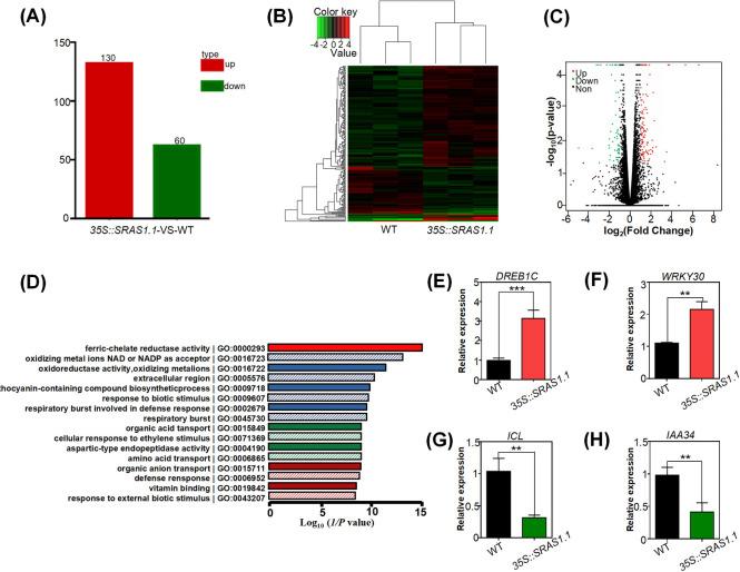 https://cdn.ncbi.nlm.nih.gov/pmc/blobs/18ae/8631661/9339bdb4e3a6/pgen.1009898.g004.jpg
