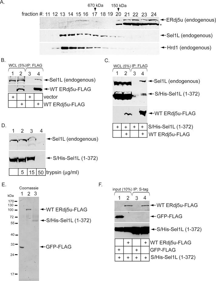 https://cdn.ncbi.nlm.nih.gov/pmc/blobs/18b8/3596249/c692a16b0b0b/785fig4.jpg