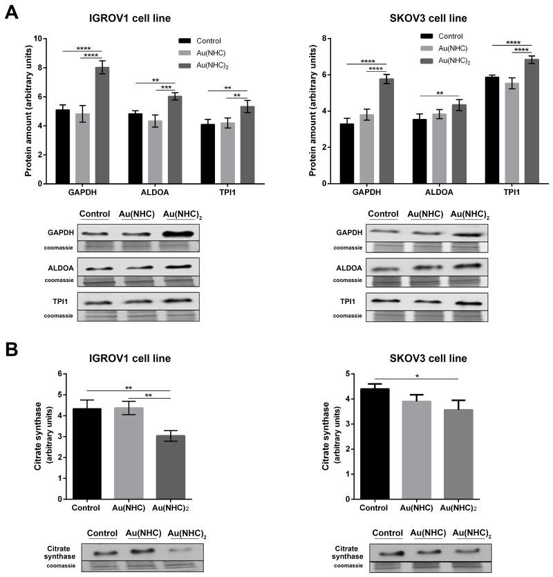 https://cdn.ncbi.nlm.nih.gov/pmc/blobs/18eb/6021324/3af789aafa23/oncotarget-09-28042-g009.jpg