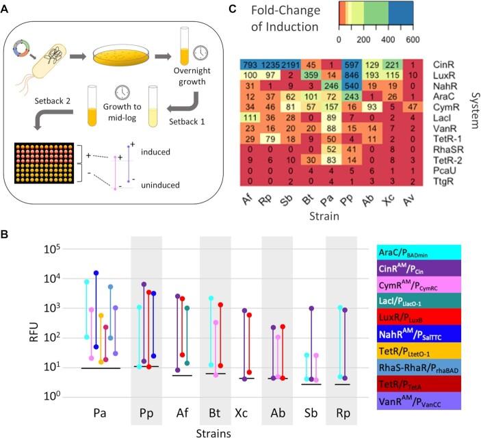 https://cdn.ncbi.nlm.nih.gov/pmc/blobs/18f4/8266580/37c658cca350/gkab496fig2.jpg