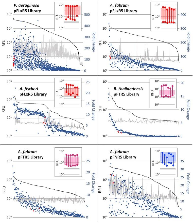 https://cdn.ncbi.nlm.nih.gov/pmc/blobs/18f4/8266580/bd620784f386/gkab496fig6.jpg