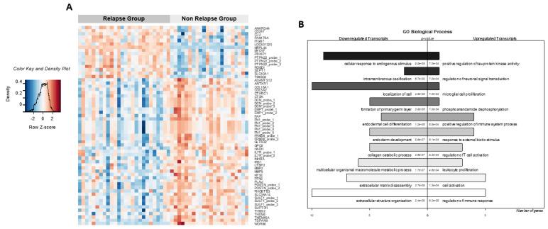 https://cdn.ncbi.nlm.nih.gov/pmc/blobs/18fc/8582782/7e6a930f4a38/cancers-13-05523-g002.jpg