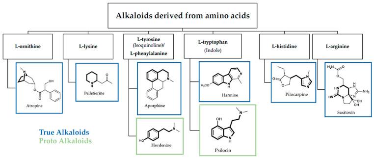 https://cdn.ncbi.nlm.nih.gov/pmc/blobs/1916/11598475/c621a852beef/toxins-16-00489-g001.jpg