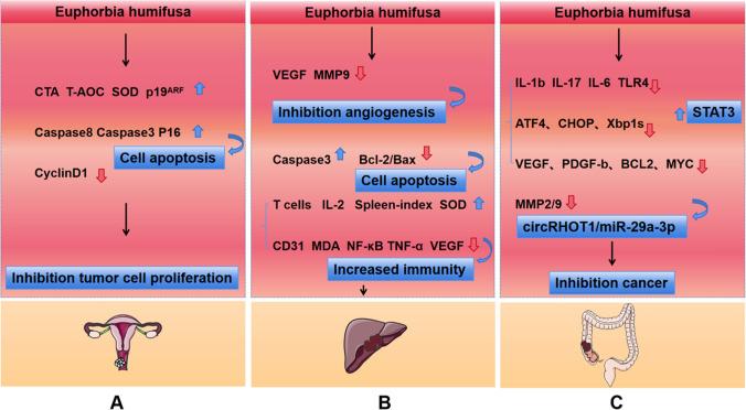 https://cdn.ncbi.nlm.nih.gov/pmc/blobs/1942/11655944/ad29b00e38f8/12672_2024_1624_Fig2_HTML.jpg