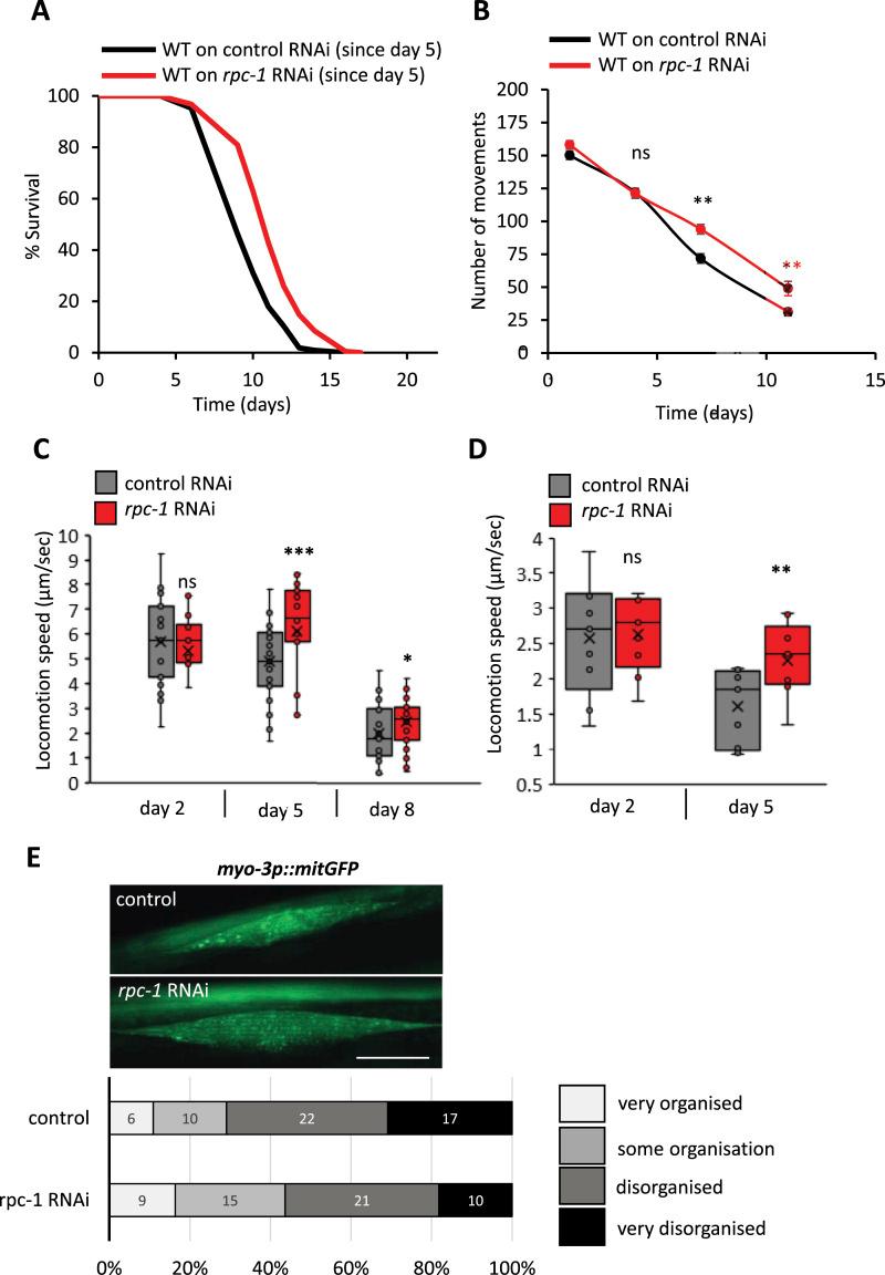 https://cdn.ncbi.nlm.nih.gov/pmc/blobs/1944/11091362/04315226977d/LSA-2024-02735_Fig4.jpg