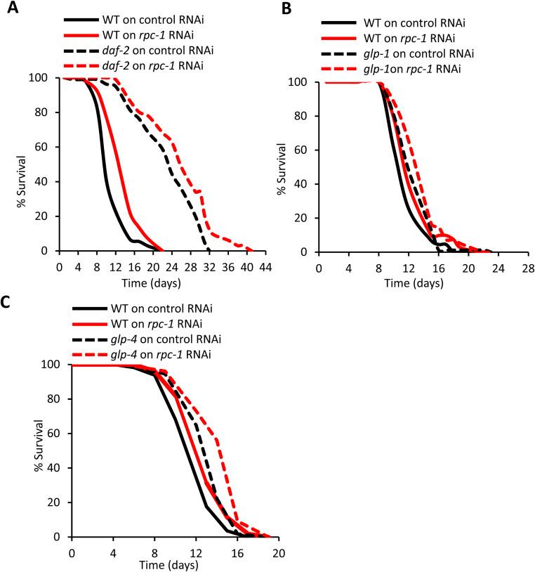 https://cdn.ncbi.nlm.nih.gov/pmc/blobs/1944/11091362/0ee9cc6da8b7/LSA-2024-02735_FigS4.jpg