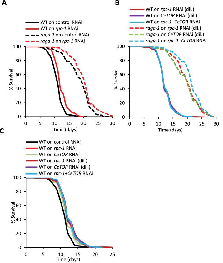 https://cdn.ncbi.nlm.nih.gov/pmc/blobs/1944/11091362/f2220d9999b6/LSA-2024-02735_Fig2.jpg