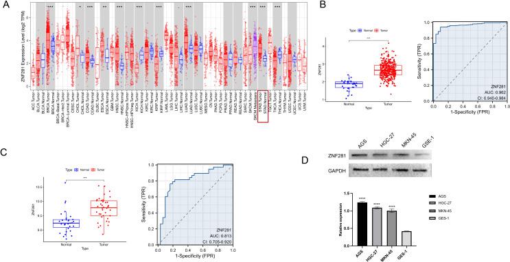 https://cdn.ncbi.nlm.nih.gov/pmc/blobs/1948/11793430/ab4fdb789b20/432_2024_5838_Fig2_HTML.jpg