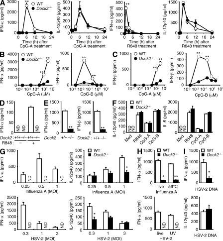 https://cdn.ncbi.nlm.nih.gov/pmc/blobs/1951/2856018/2e556682a611/JEM_20091776_LW_Fig1.jpg