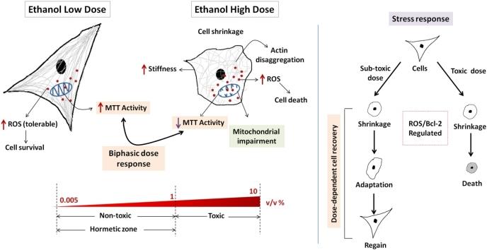 https://cdn.ncbi.nlm.nih.gov/pmc/blobs/1951/8296147/ee91d71f65ab/ga1.jpg