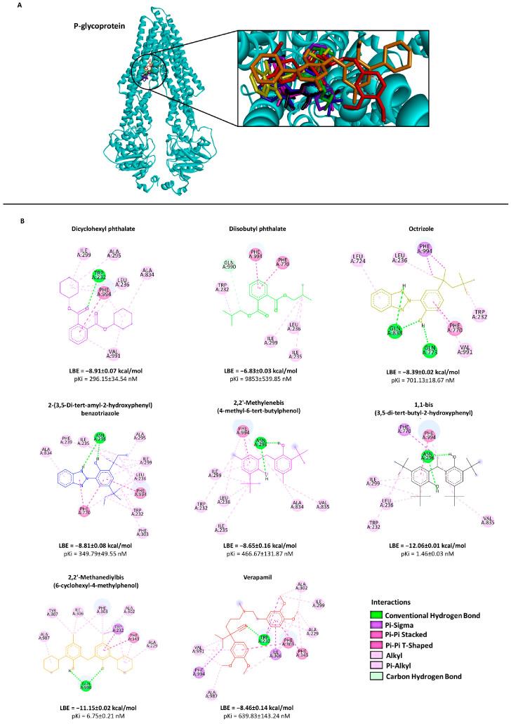 https://cdn.ncbi.nlm.nih.gov/pmc/blobs/1954/10058098/cf0b557084e1/molecules-28-02710-g002.jpg