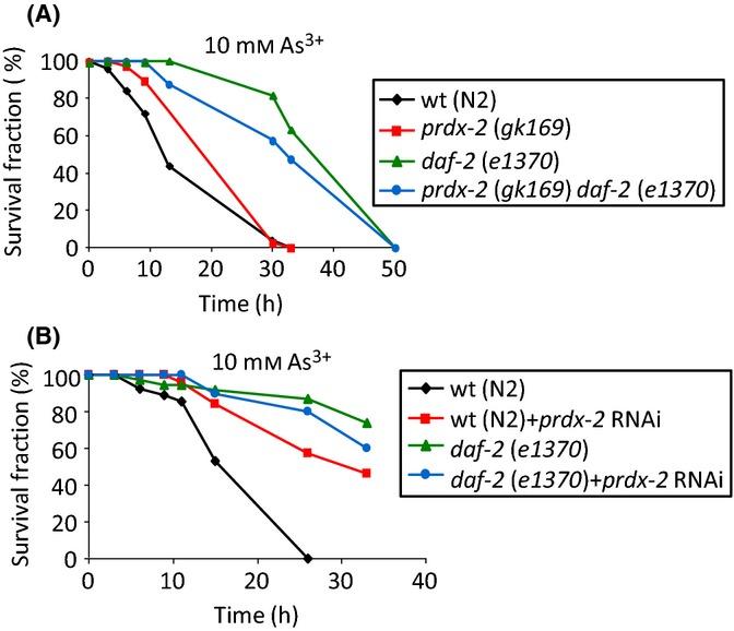 https://cdn.ncbi.nlm.nih.gov/pmc/blobs/1965/4531070/dc5a57684a72/acel0014-0558-f4.jpg