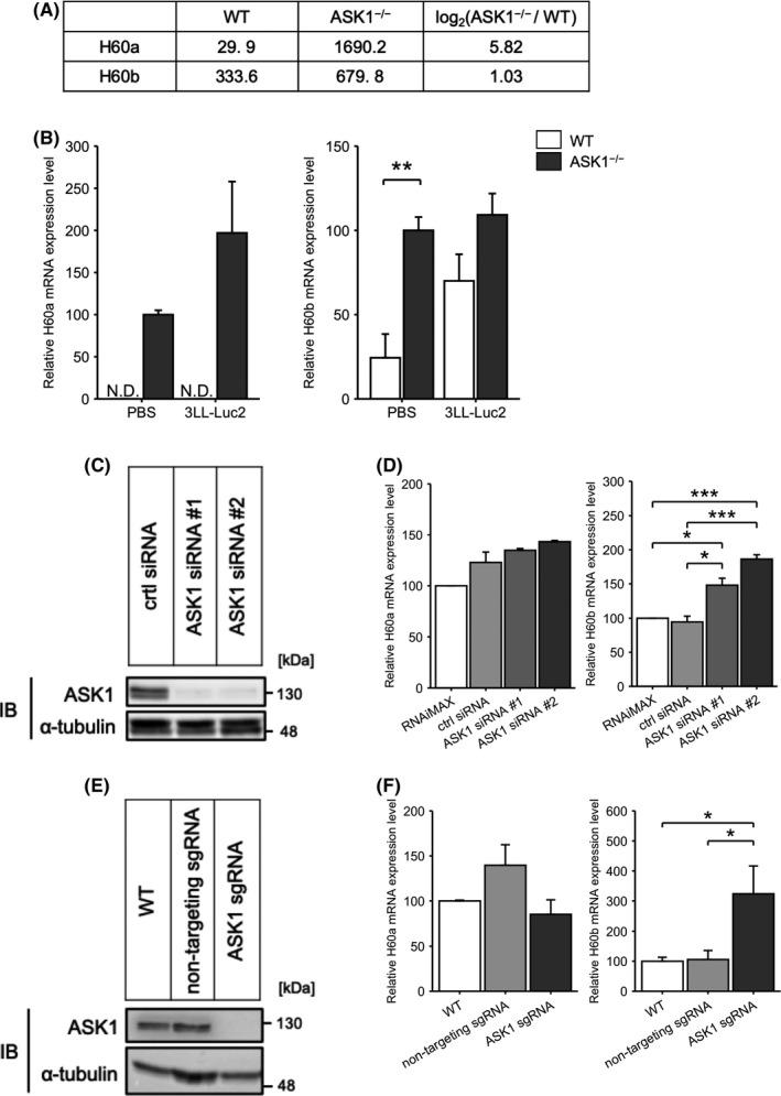 https://cdn.ncbi.nlm.nih.gov/pmc/blobs/1966/8019214/63cd2707a951/CAS-112-1633-g003.jpg