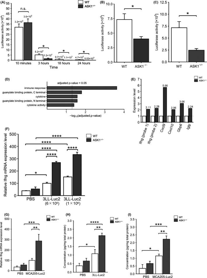 https://cdn.ncbi.nlm.nih.gov/pmc/blobs/1966/8019214/b0abd30b0b18/CAS-112-1633-g006.jpg