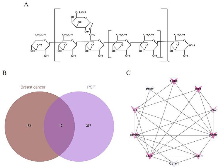 https://cdn.ncbi.nlm.nih.gov/pmc/blobs/196c/11177424/08af3087d9ca/12885_2024_12494_Fig1_HTML.jpg